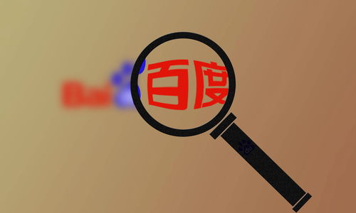 如何选择适合的百度秒收蜘蛛池